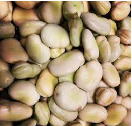 Bulk Habas  (from Mexico 5 lb bag)